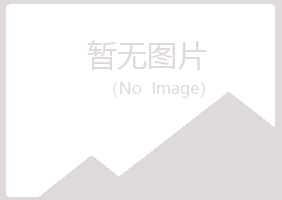 大同白山会计有限公司